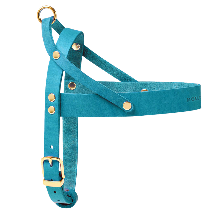 Butter Leather Dog Harness - Fiji