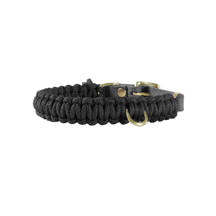 Touch of Leather Dog Collar - Nero