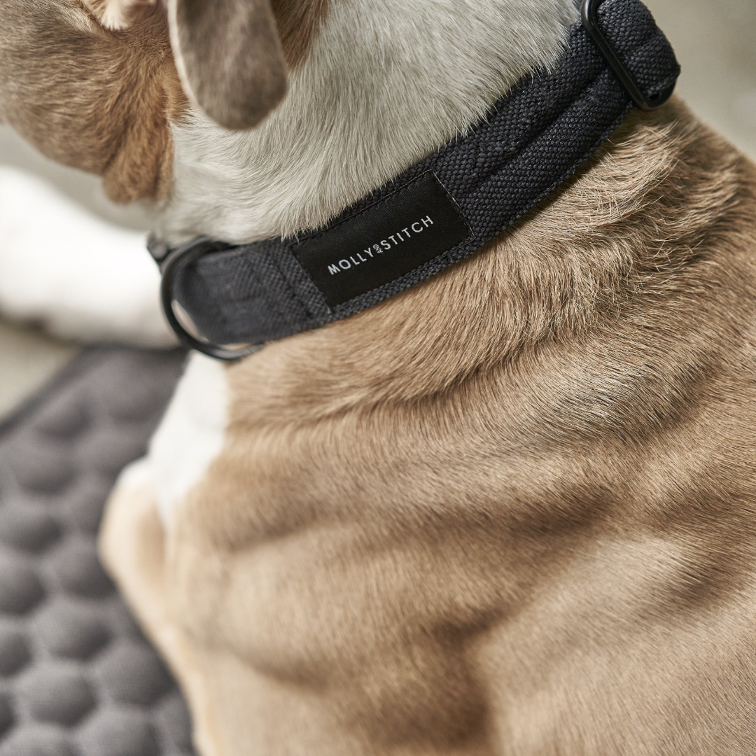 Soft Rock Collar - Grey