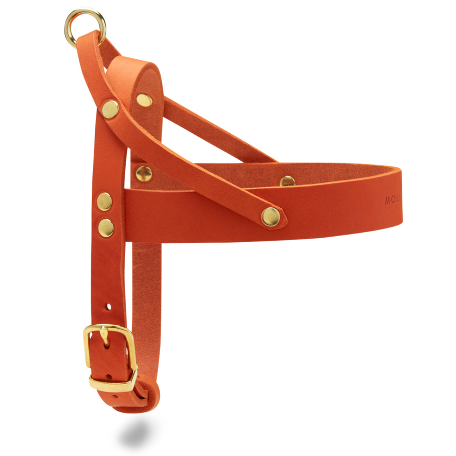 Elma shop dog sales harness