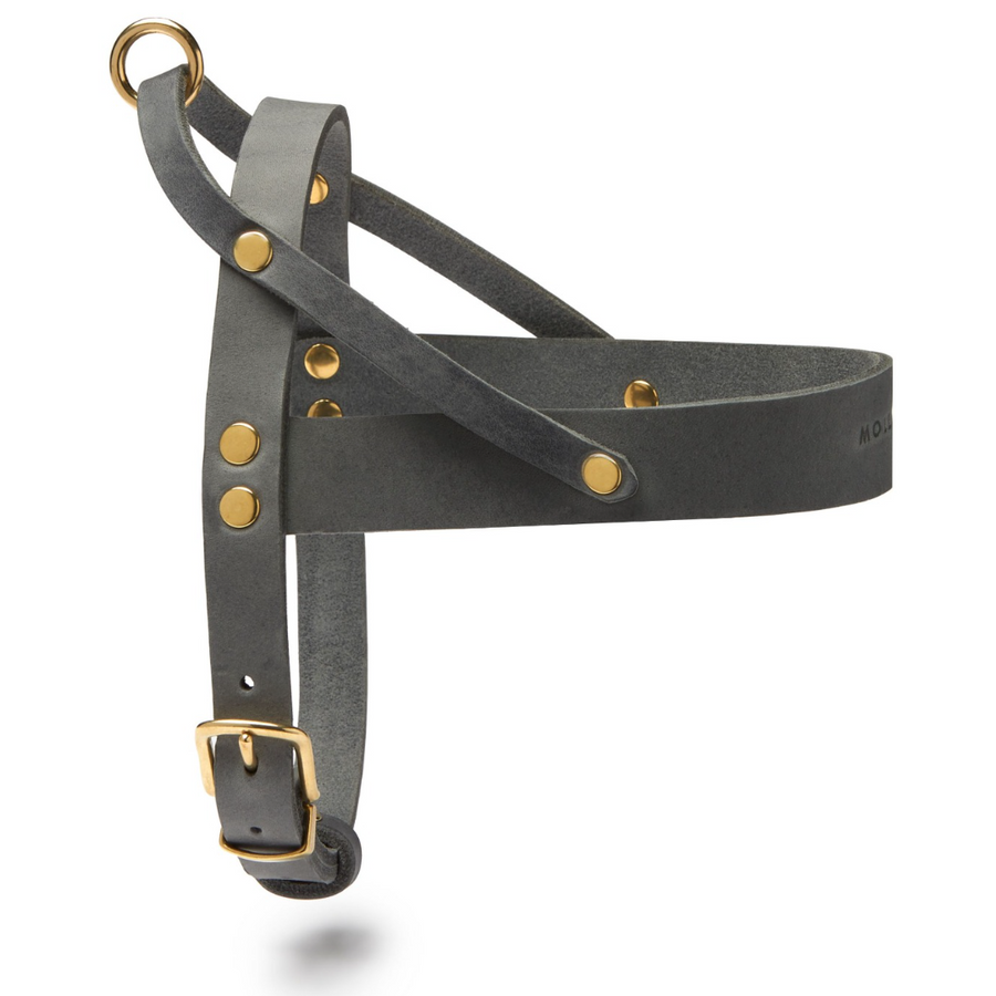 Butter Leather Dog Harness - Timeless Grey