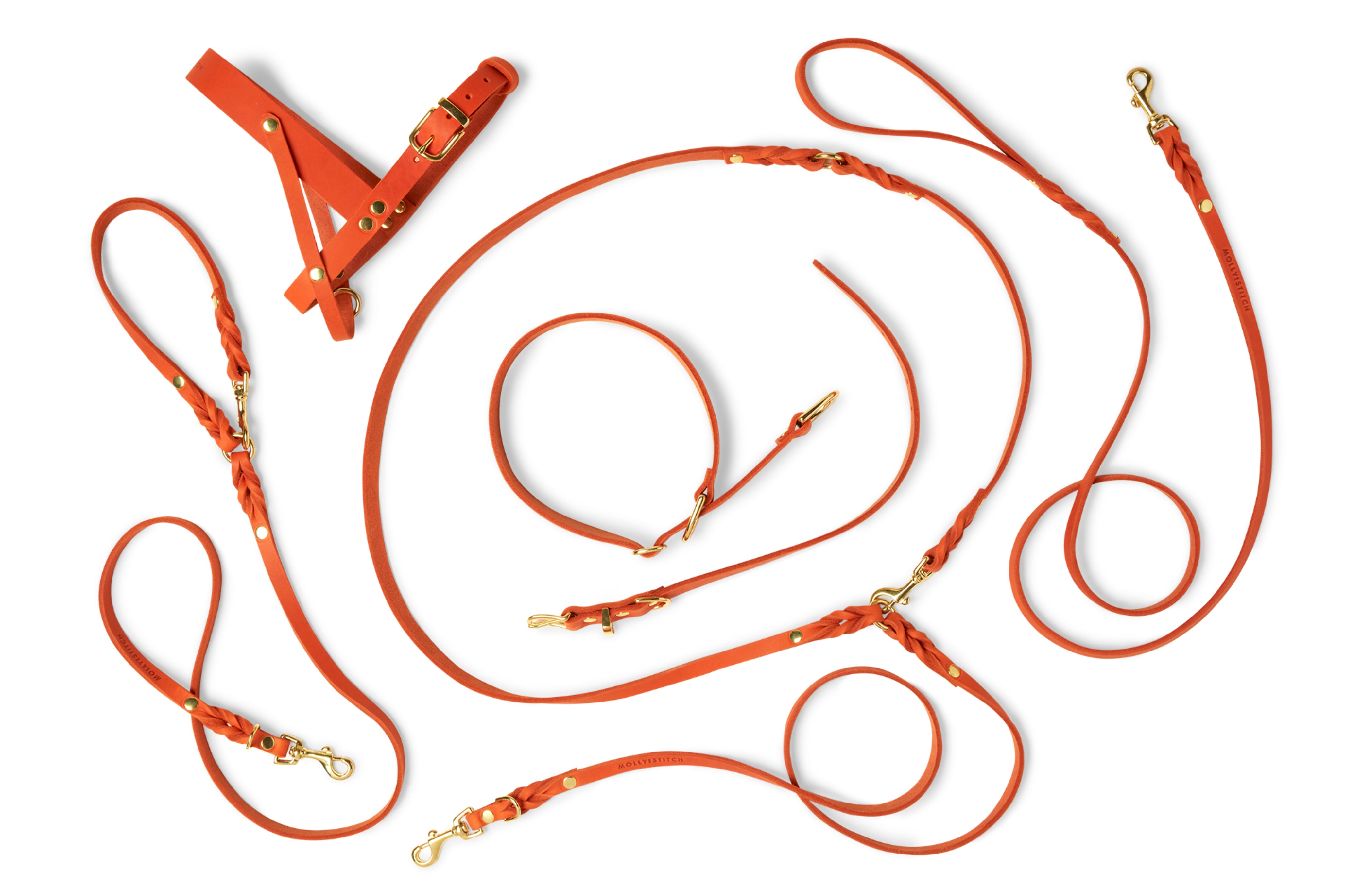 Elegant 6.5-foot dog leash made from genuine German leather and featuring brass hardware