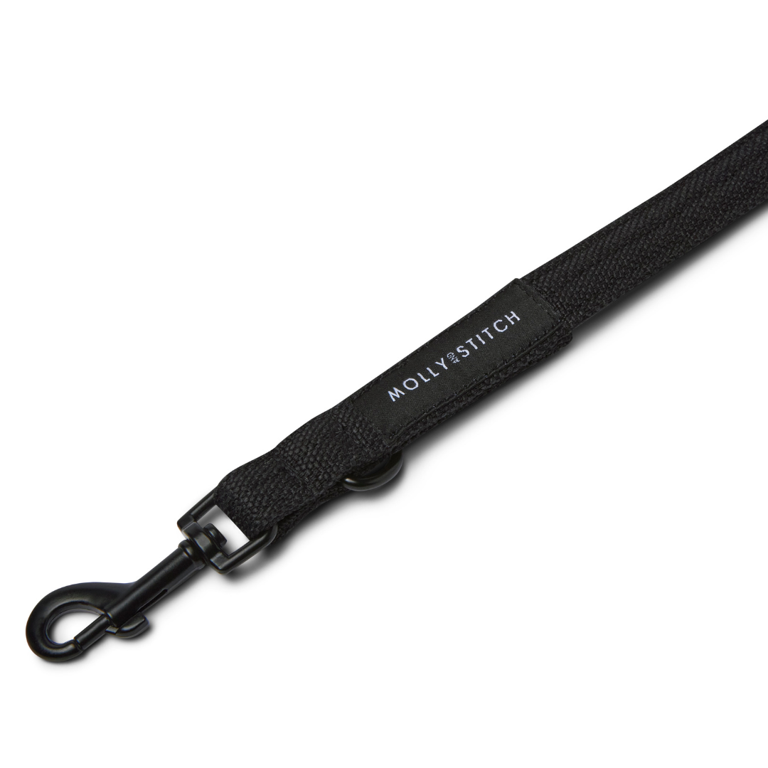 Soft Rock Adjustable Leash - Black – Molly And Stitch US