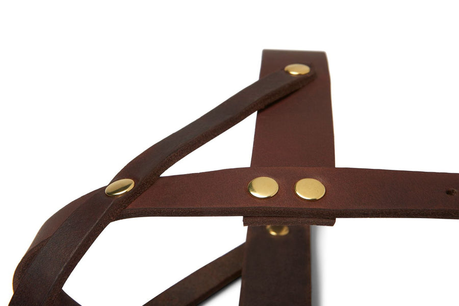 Butter Leather Dog Harness - Classic Brown