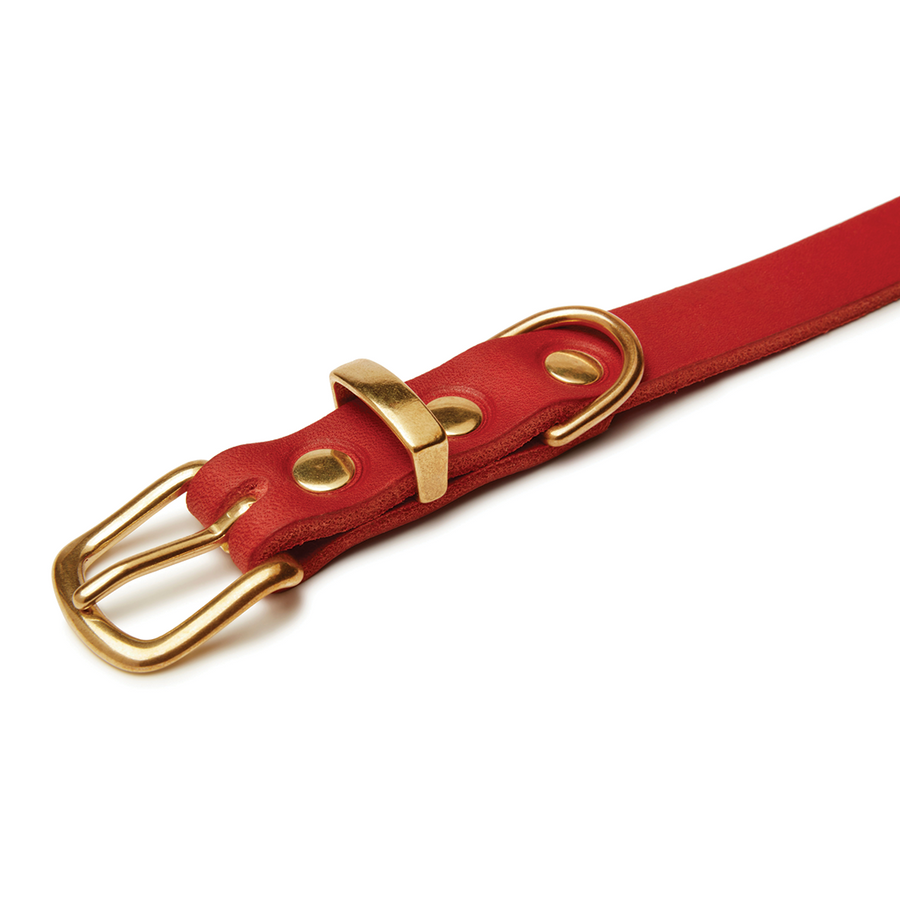 Butter Leather Dog Collar - Chili Red – Molly And Stitch US