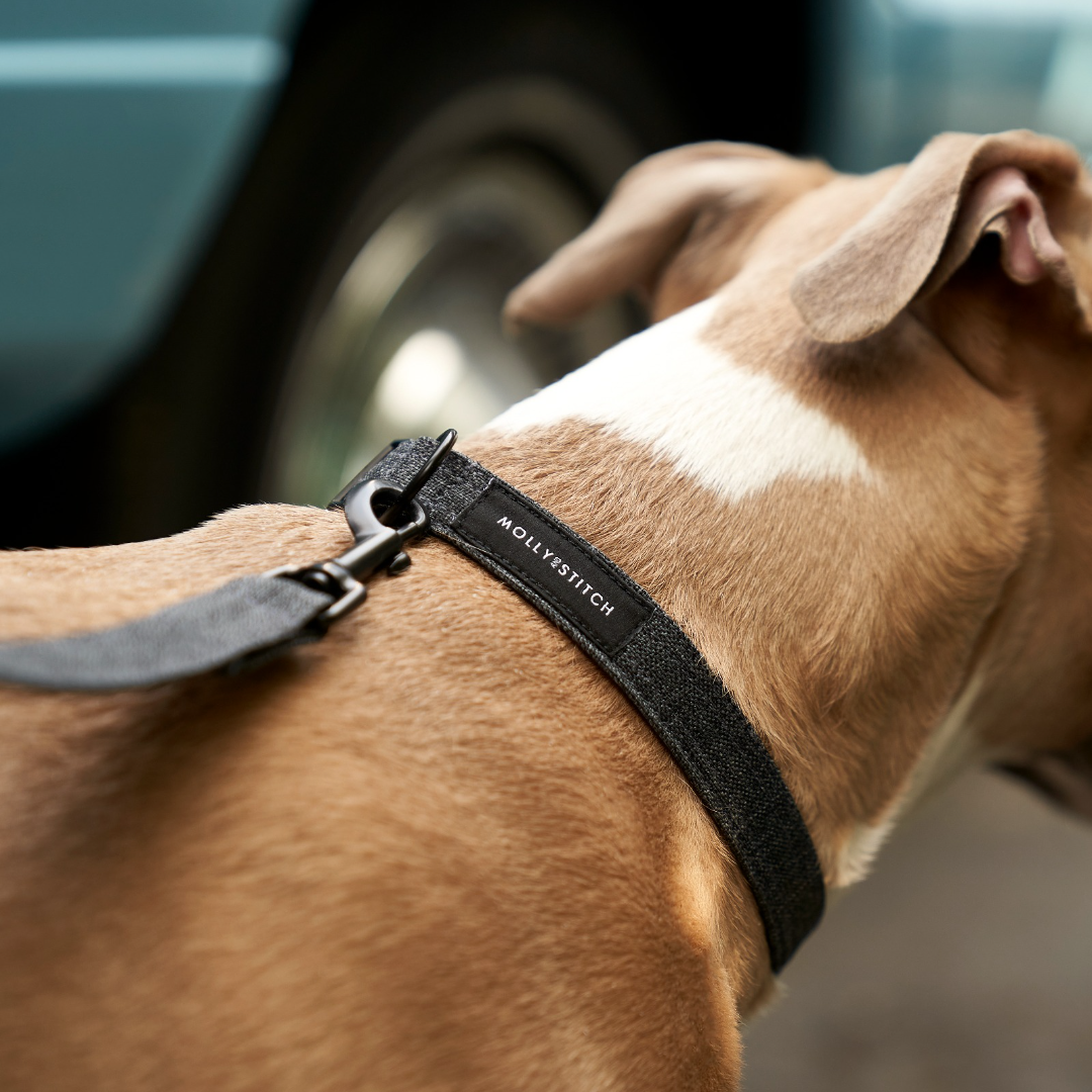 Soft Rock Collar - Grey