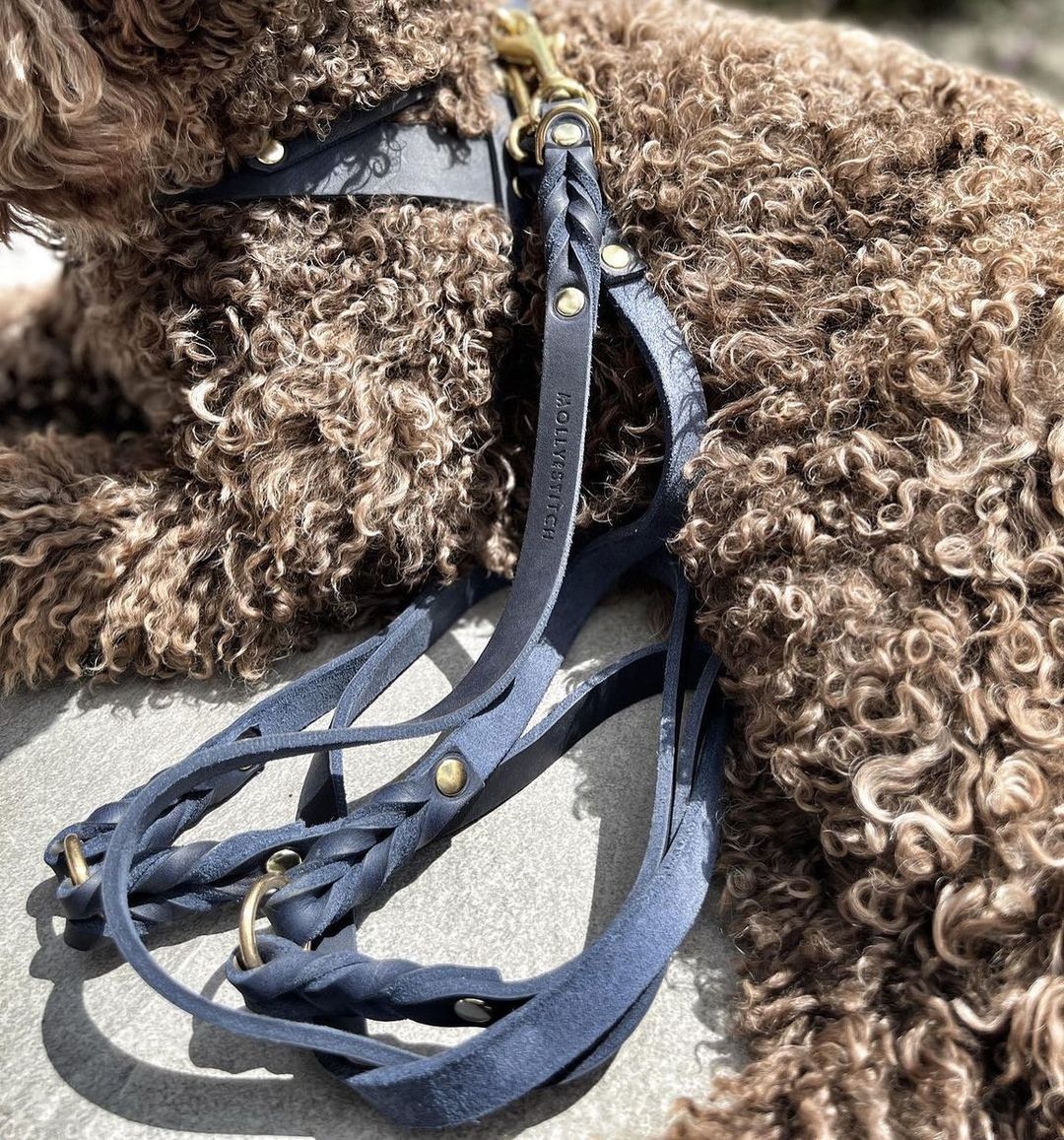 Navy blue color, elegant 6.5-foot dog leash made from genuine German leather and featuring brass hardware