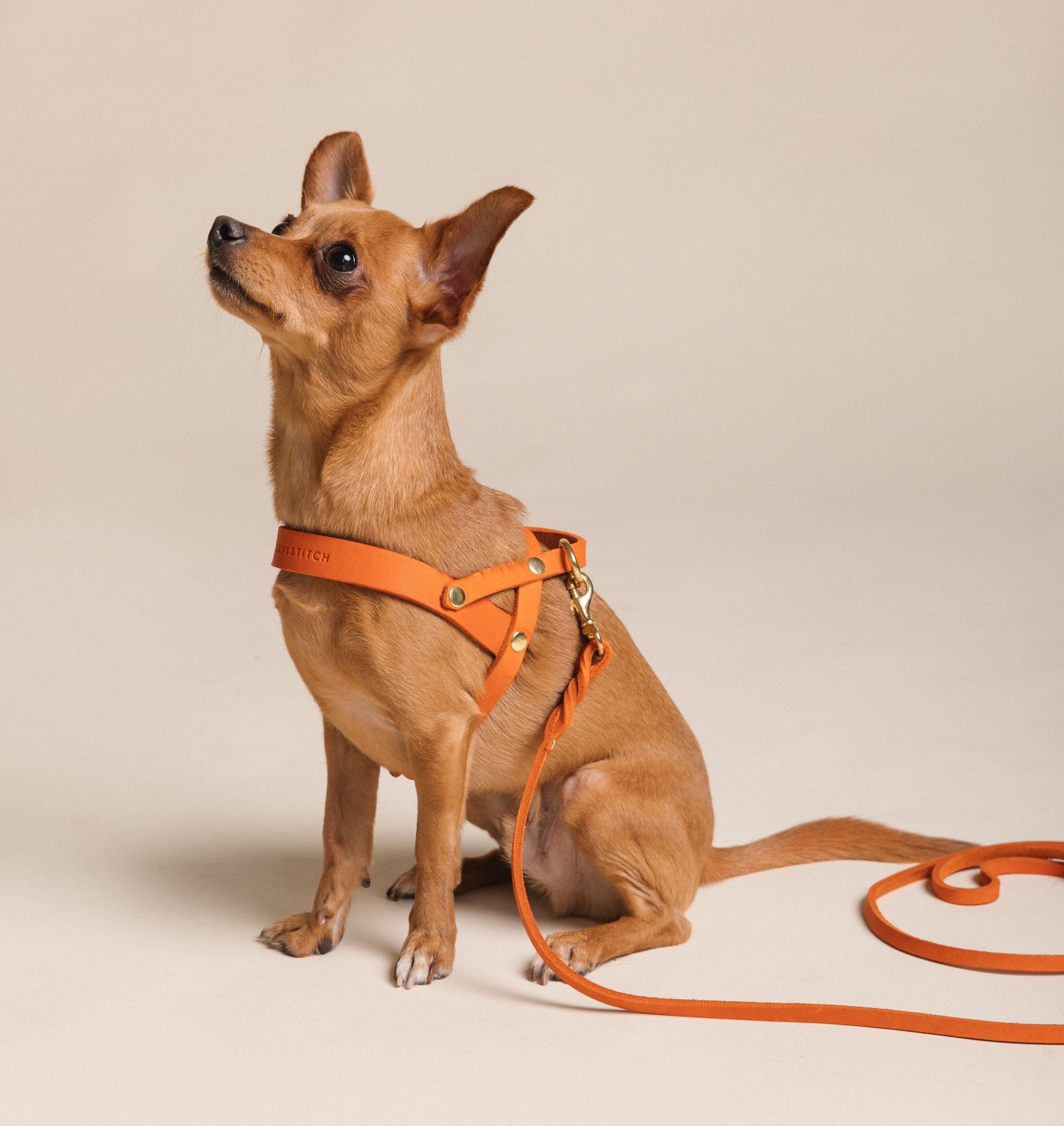 Butter Leather Dog Harness - Mango