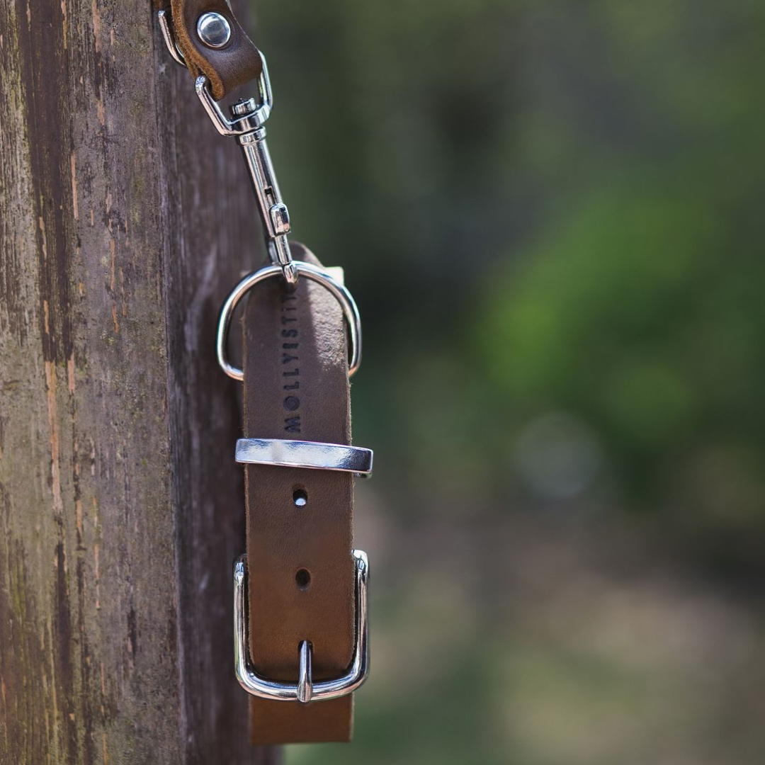 Scandinavian-inspired dog collar with buttery soft German leather and gleaming silver hardware