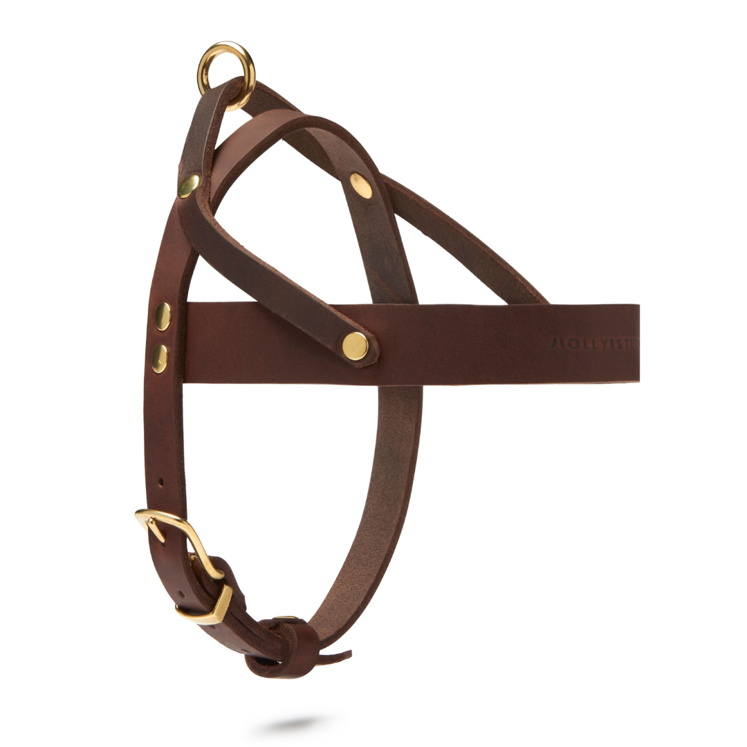 Tan leather 2025 dog harness