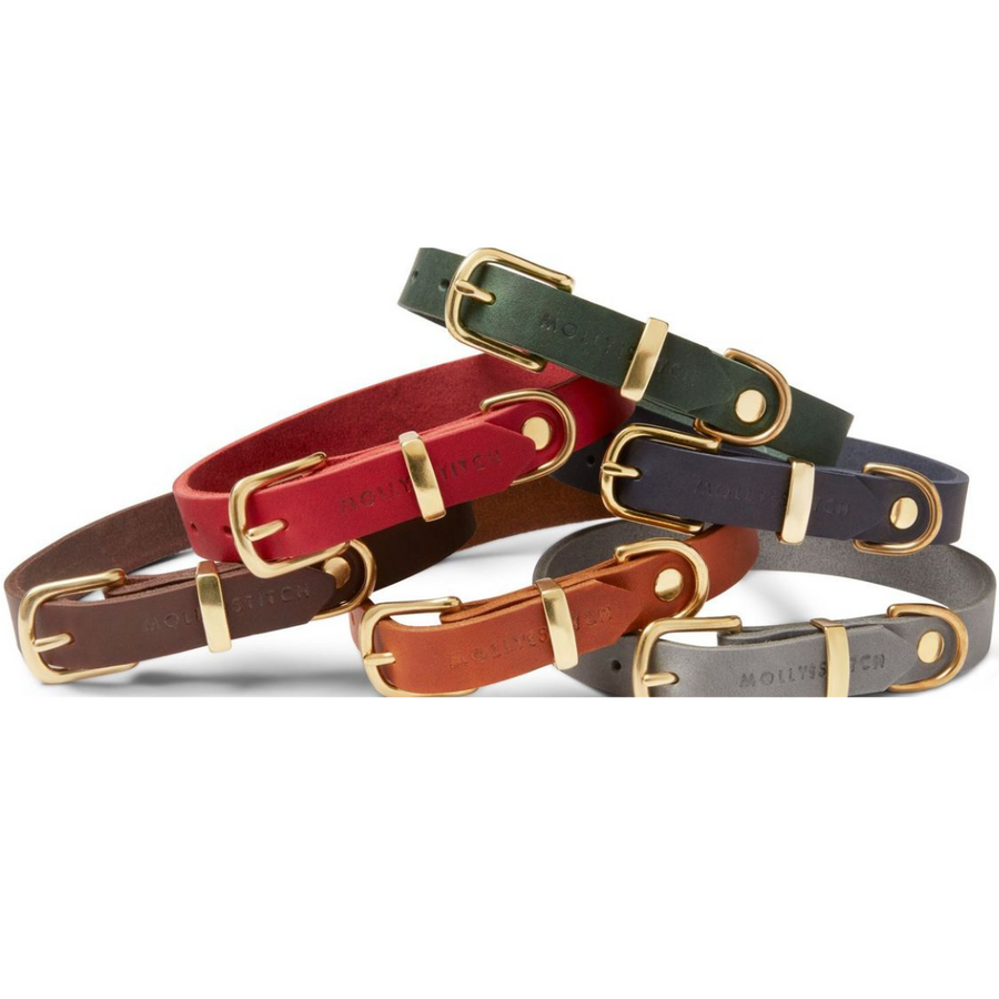 Us navy top dog collar