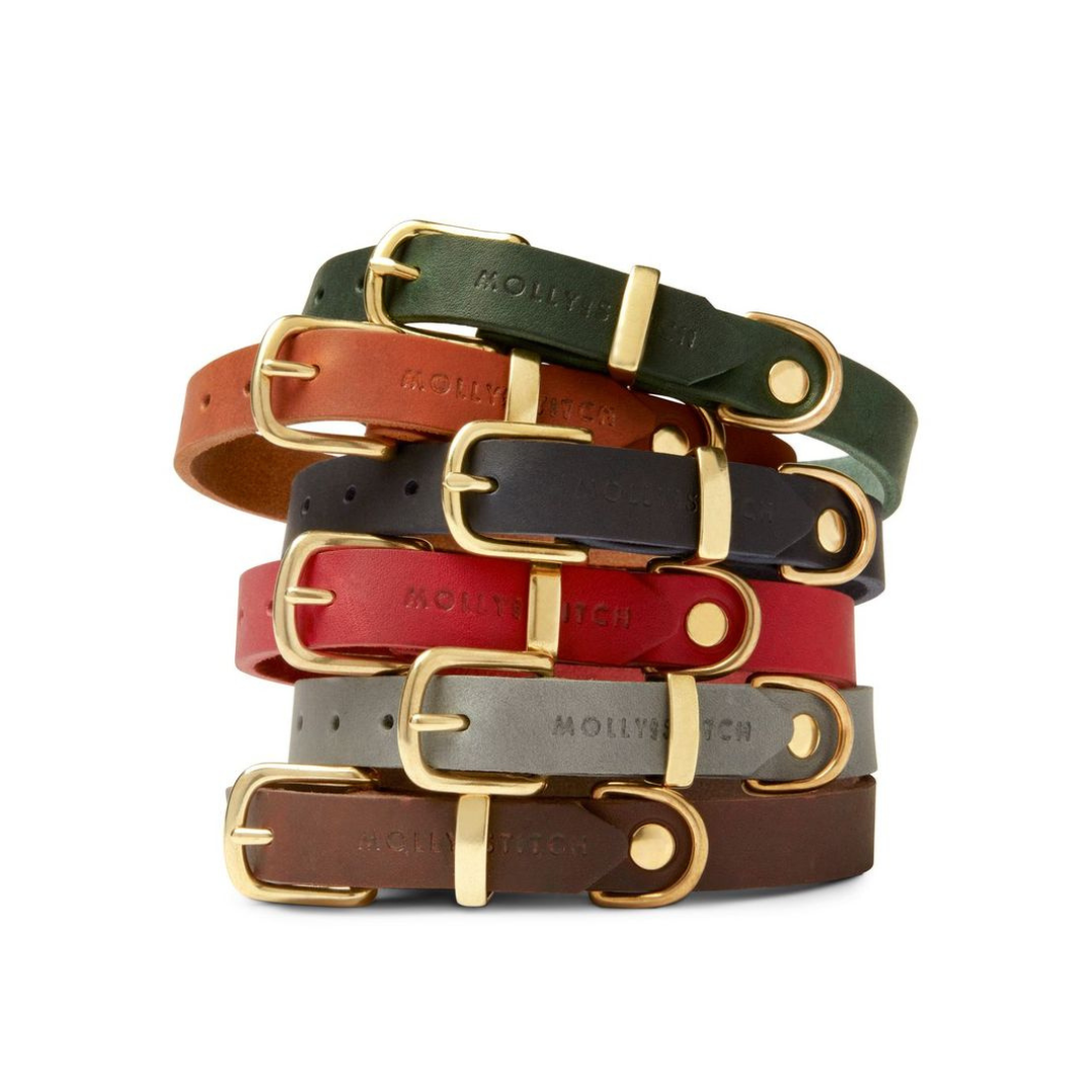 Leather dog collars sales and leads uk