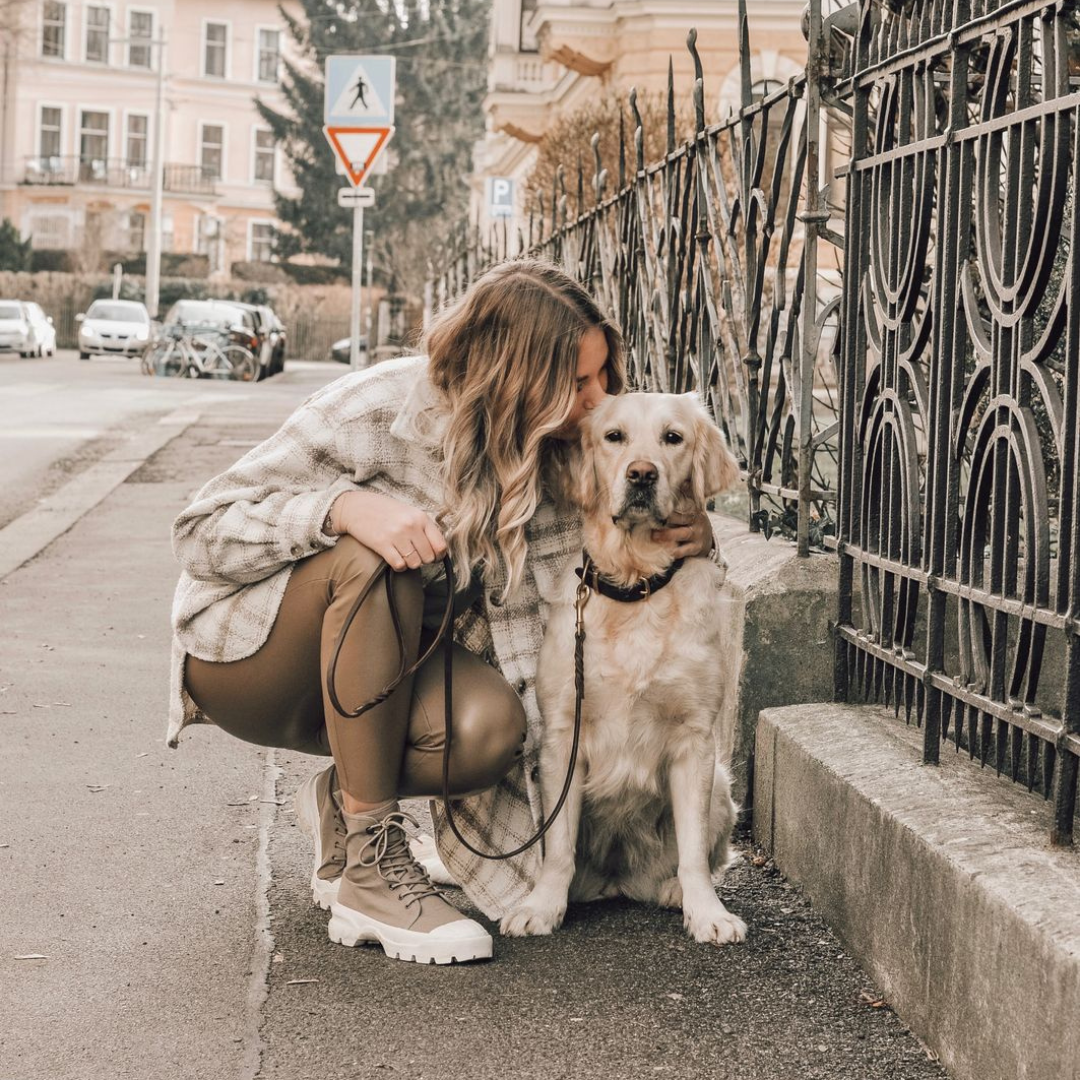 Premium German leather dog leash with a soft handle and solid brass clasps, ideal for walks