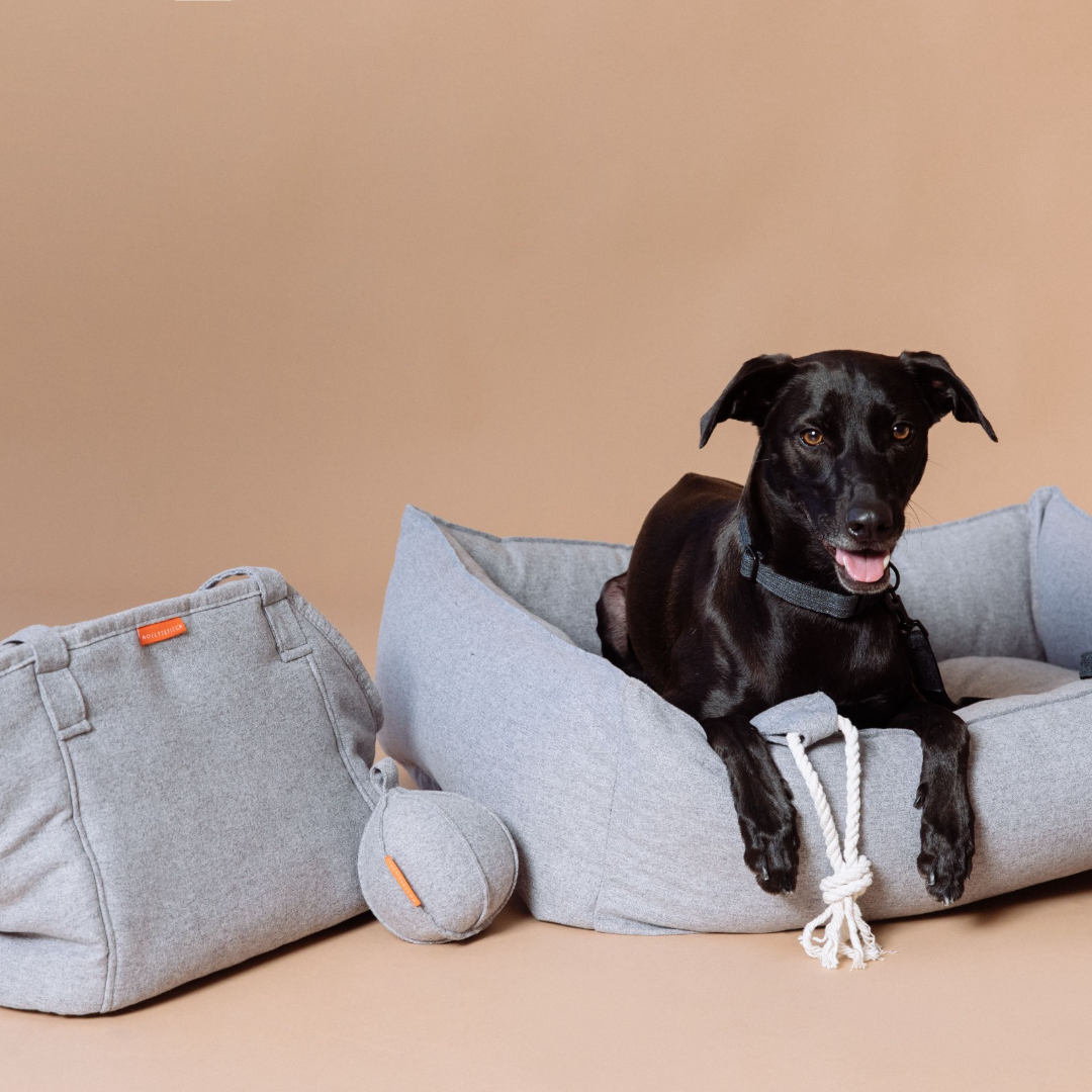 Alpine Dog Carrier - Grey