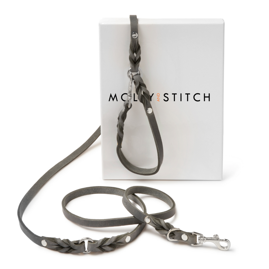 Butter Leather 3x Adjustable Dog Leash Timeless Grey Molly And