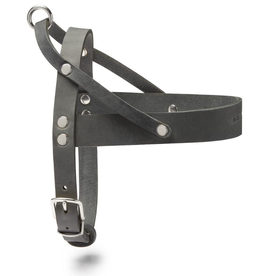 Butter Leather Dog Harness - Timeless Grey