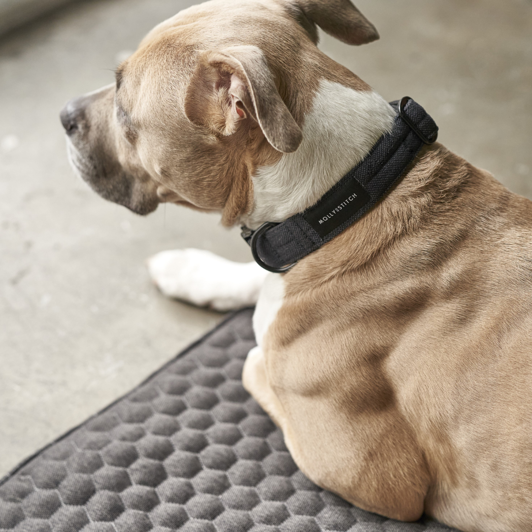 Honeycomb Dog Travel Mat - Grey