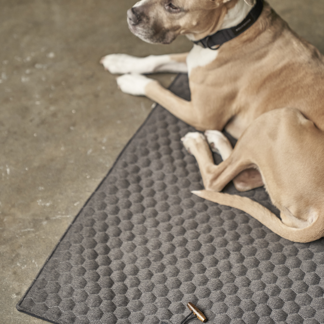 Honeycomb Dog Travel Mat - Grey