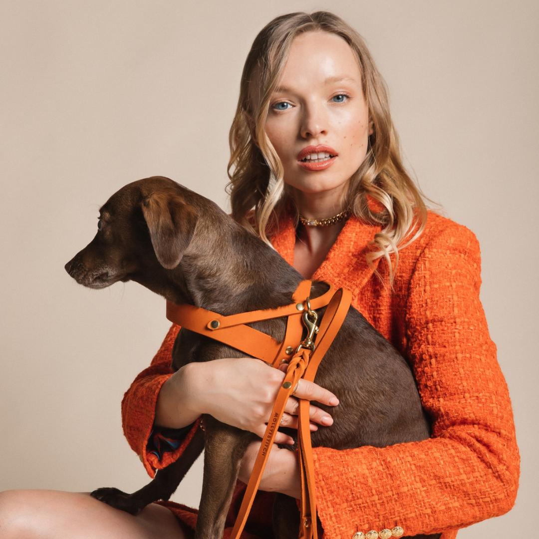 Butter Leather Dog Harness - Mango