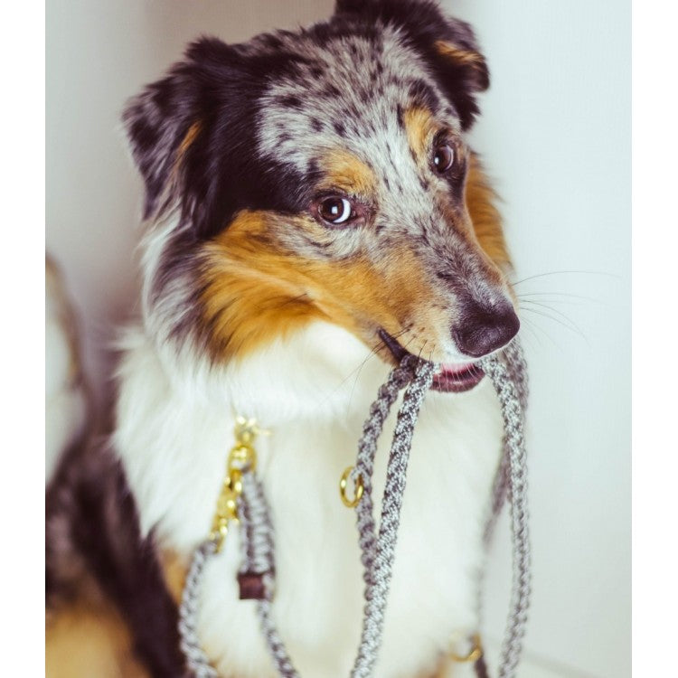 Handmade leather leash with spring-loaded brass clasps and braided detailing for durability