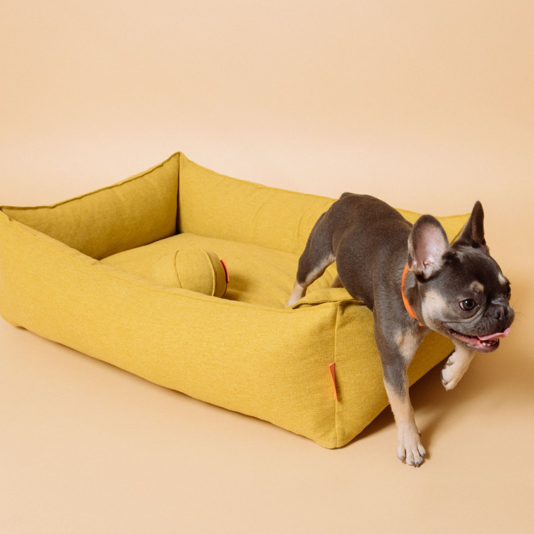 Alpine Dog Bed - Mustard