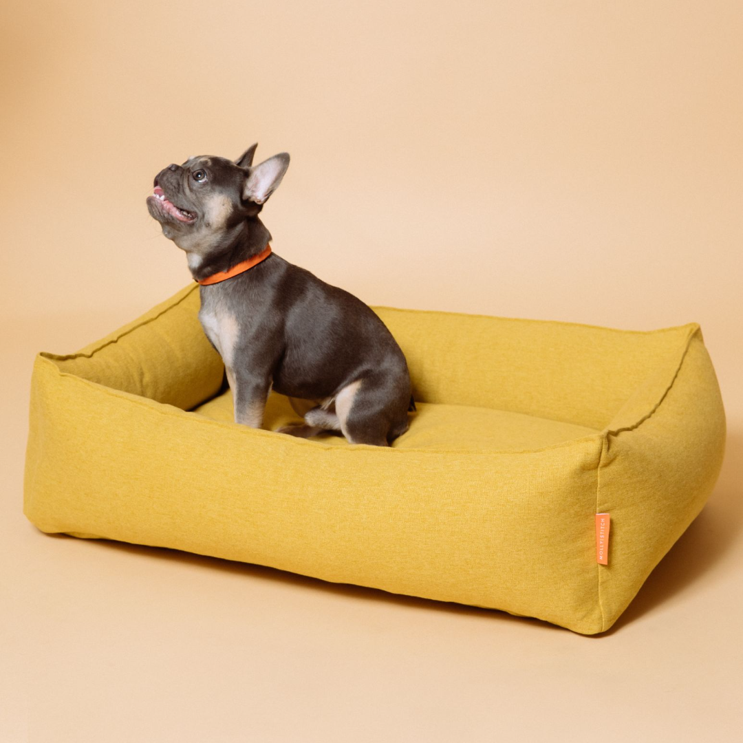 Alpine Dog Bed - Mustard