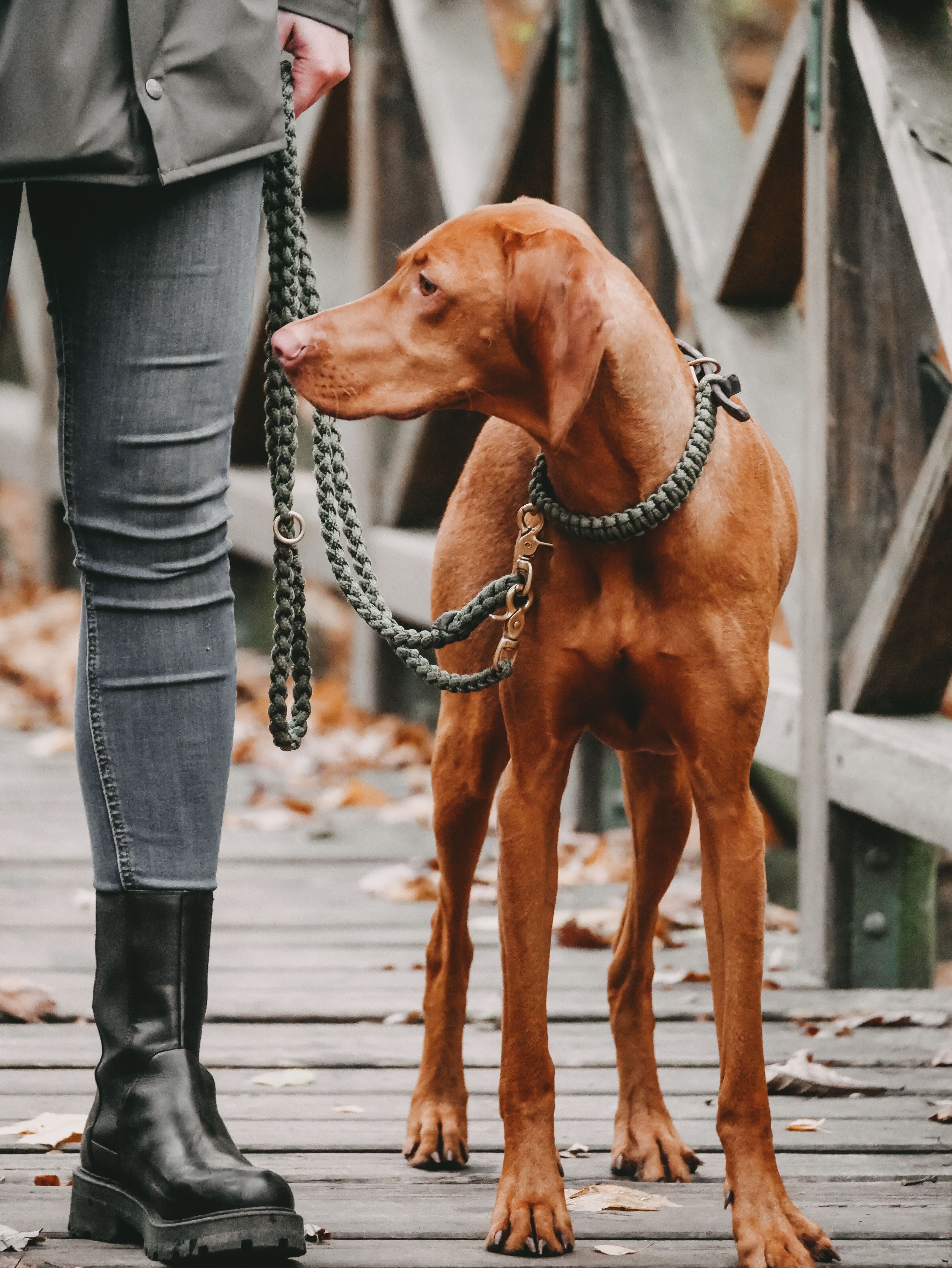 Luxurious leather leash with solid brass and steel clasps, adjustable handle, and hand-braided design