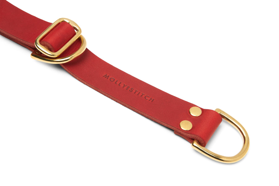 Butter Leather Retriever Dog Collar - Chili Red
