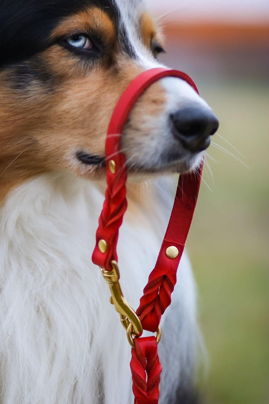 Butter Leather 2x Adjustable Dog Leash - Chili Red